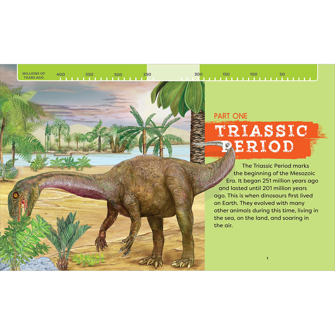 house-of-marbles-dinosaurs-encyclopedia-prehi-hom-403822- (13)