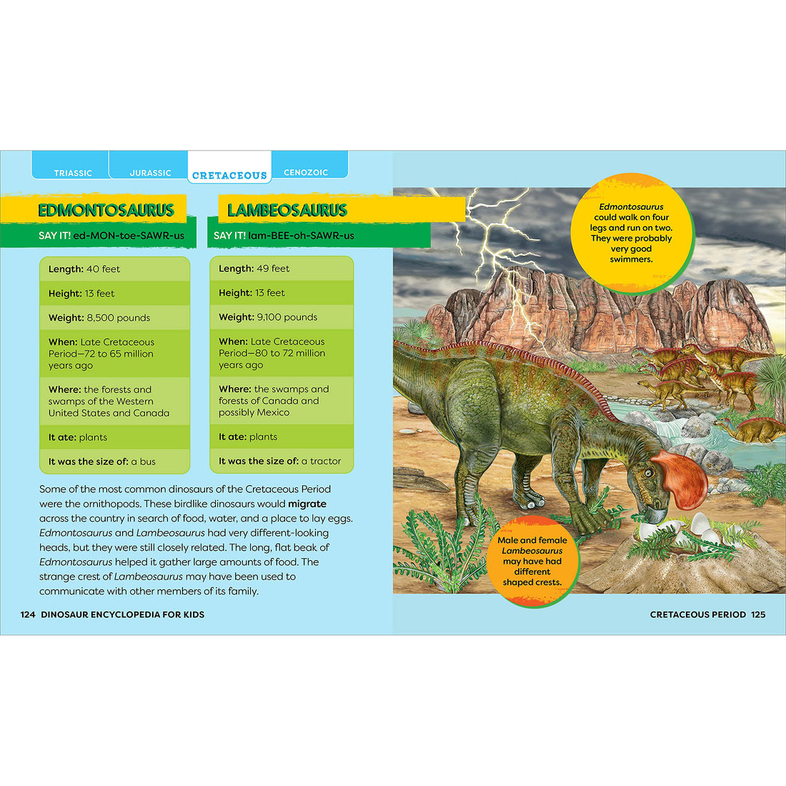 house-of-marbles-dinosaurs-encyclopedia-prehi-hom-403822- (6)