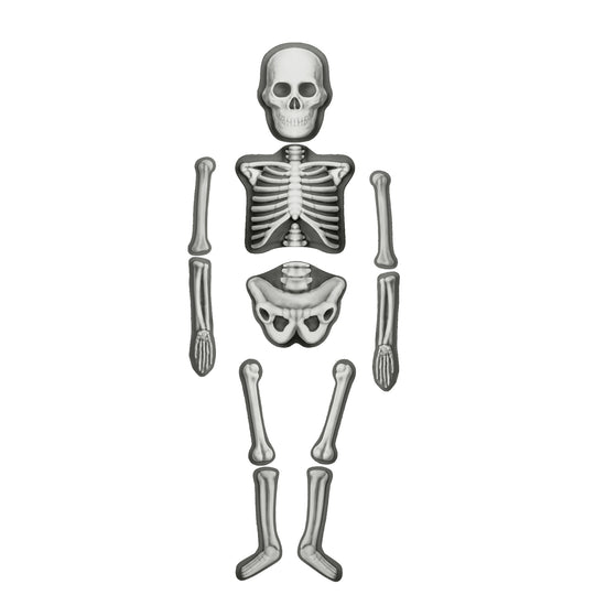 house-of-marbles-human-skeleton-make-&-decorate-kit-hom-212911- (1)
