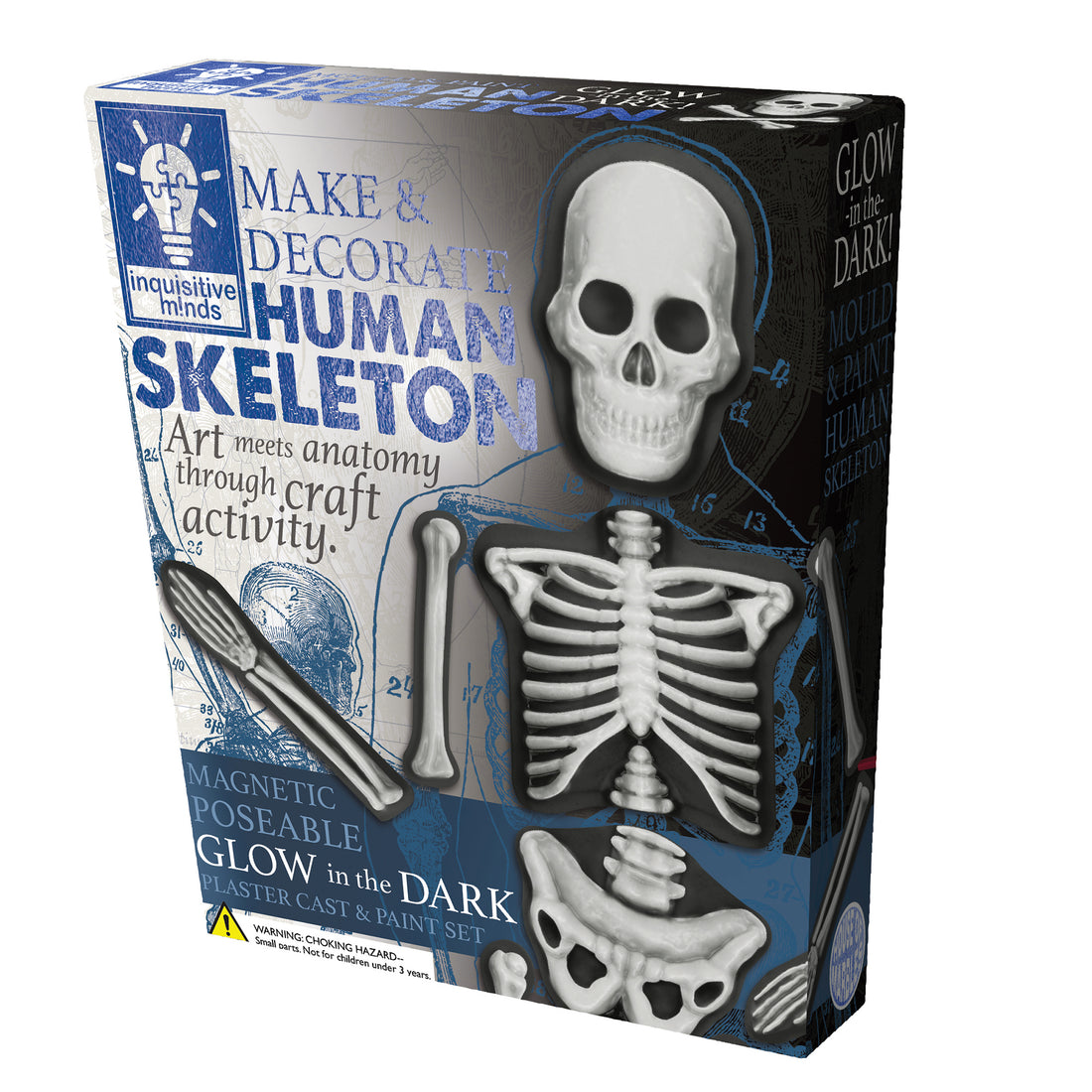 house-of-marbles-human-skeleton-make-&-decorate-kit-hom-212911- (2)