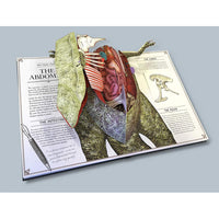 house-of-marbles-t-rex-popup-guide-to-anatomy-hom-403184- (2)