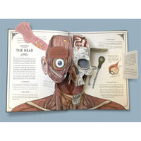 The Human Body Popup Guide To Anatomy