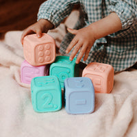 jellystone-designs-my-first-dice-blush-and-snow- (3)