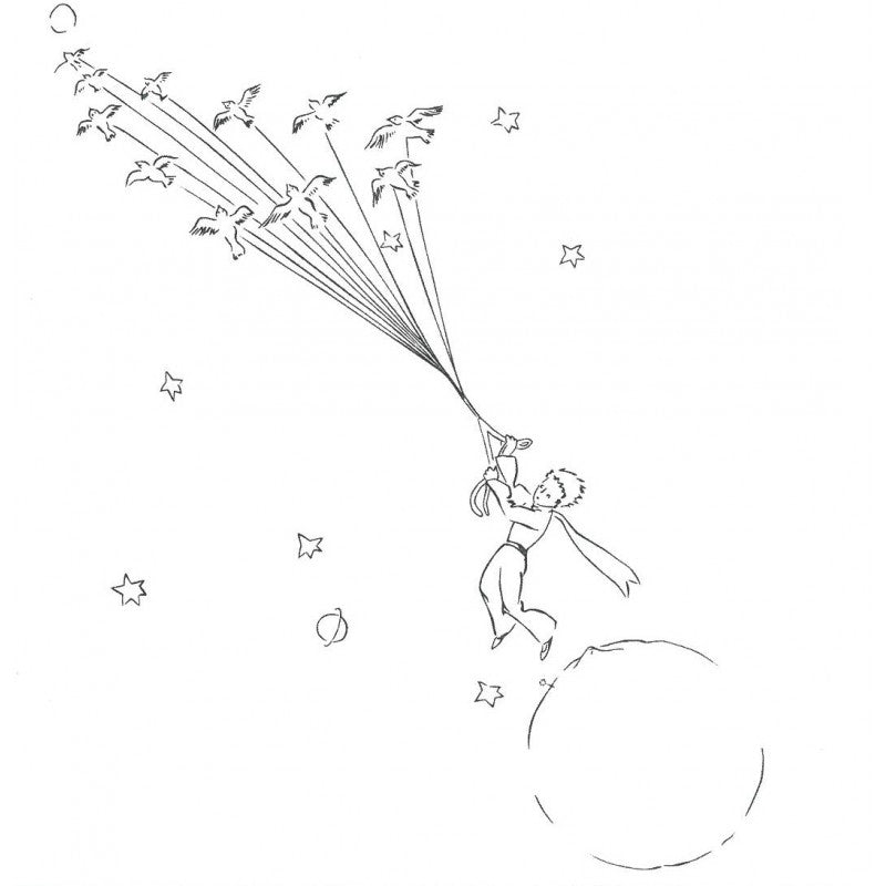 La boutique du Petit Prince Color Book : The Little Prince