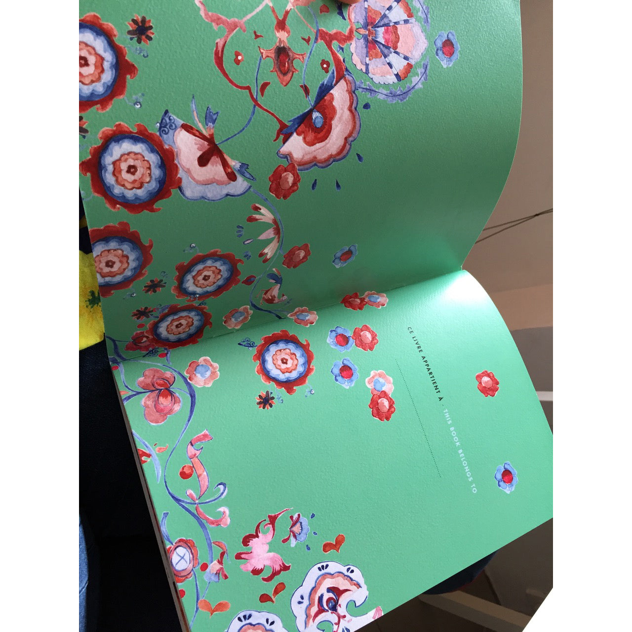 Mountains of Colors Coloring Book