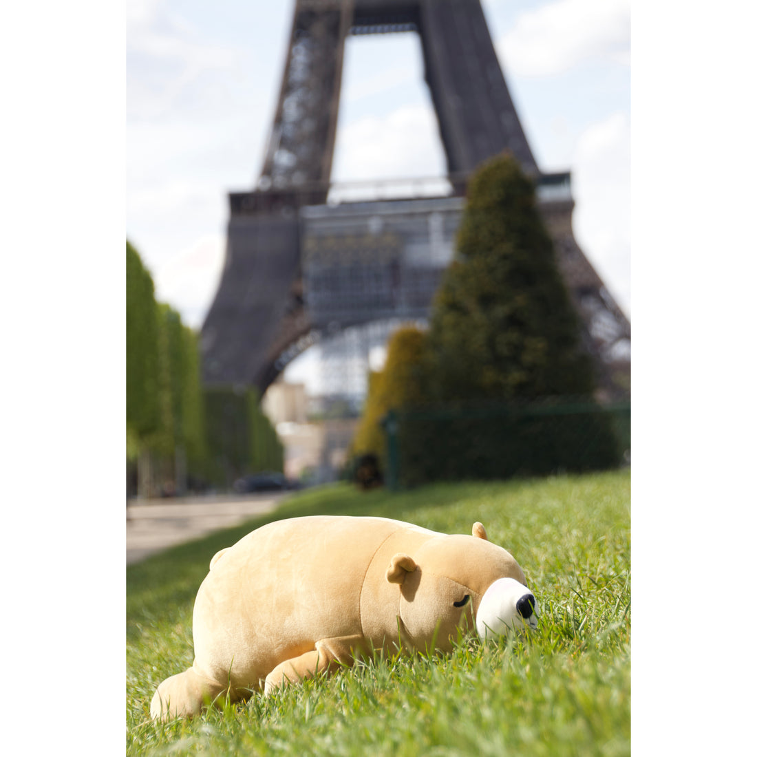 nemu-nemu-animals-cookie-brown-bear-trou-j6020- (7)