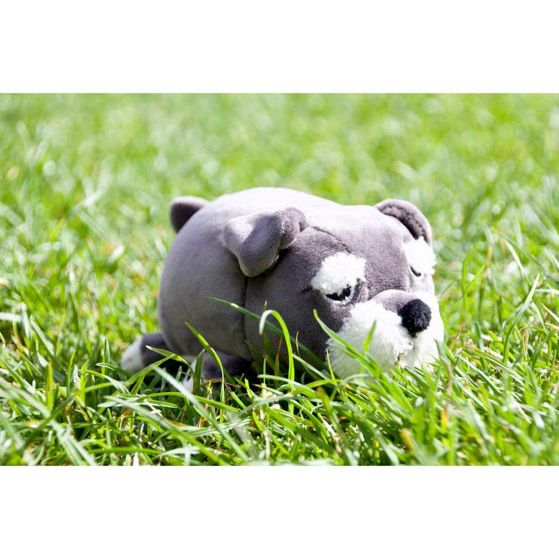 nemu-nemu-animals-joy-dog-with-mustache-trou-j1519- (2)