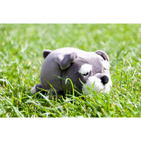 nemu-nemu-animals-joy-dog-with-mustache-trou-j1519- (2)