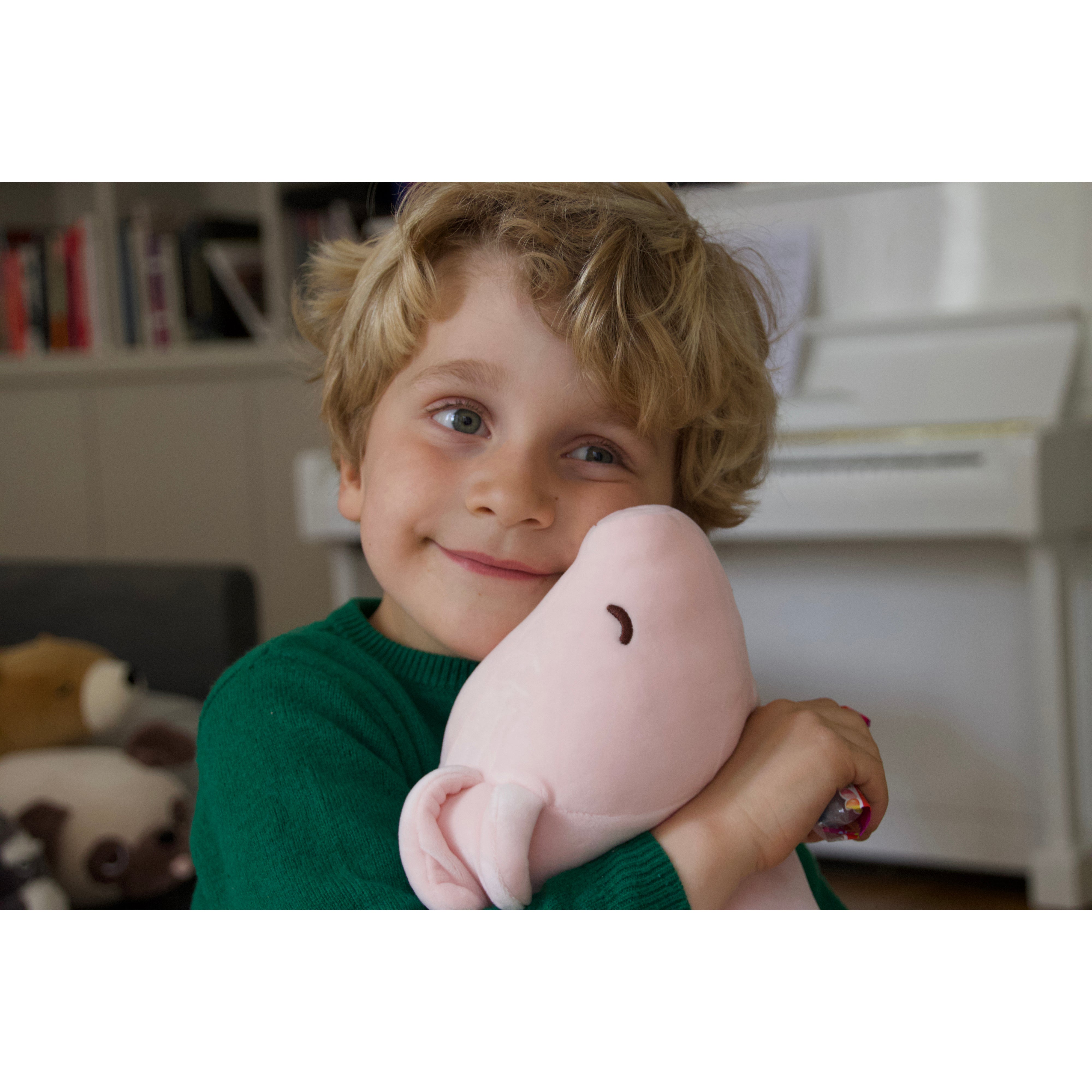 nemu-nemu-animals-pinkie-pig-trou-j6023-7