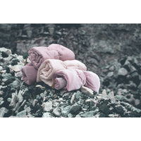 numero-74-bath-towel-baby-dusty-pink- (4)
