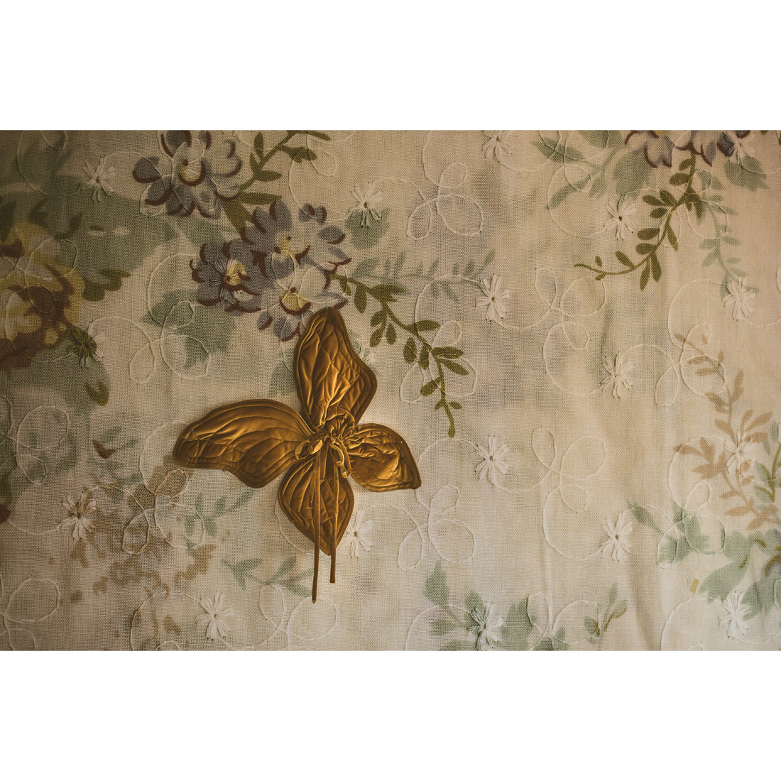 numero-74-butterfly-wings-gold- (2)