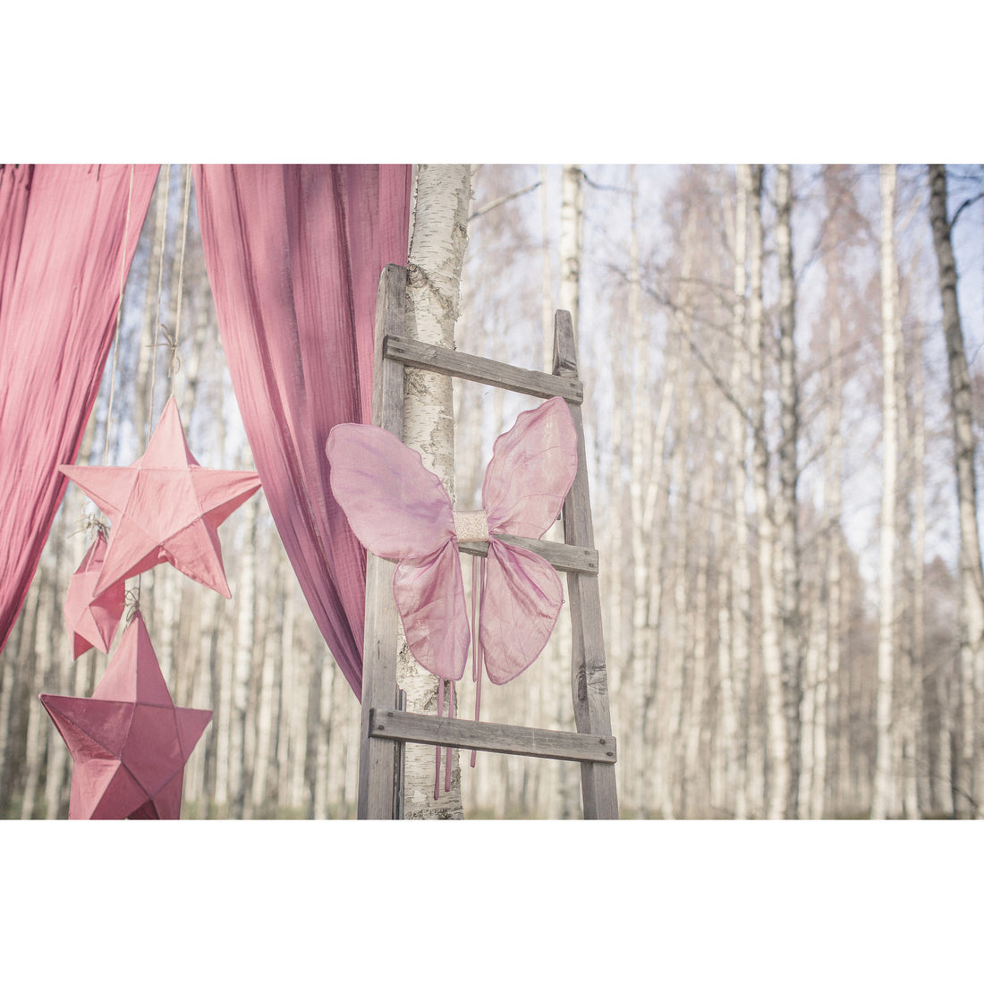 numero-74-fairy-wings-mix-color- (5)