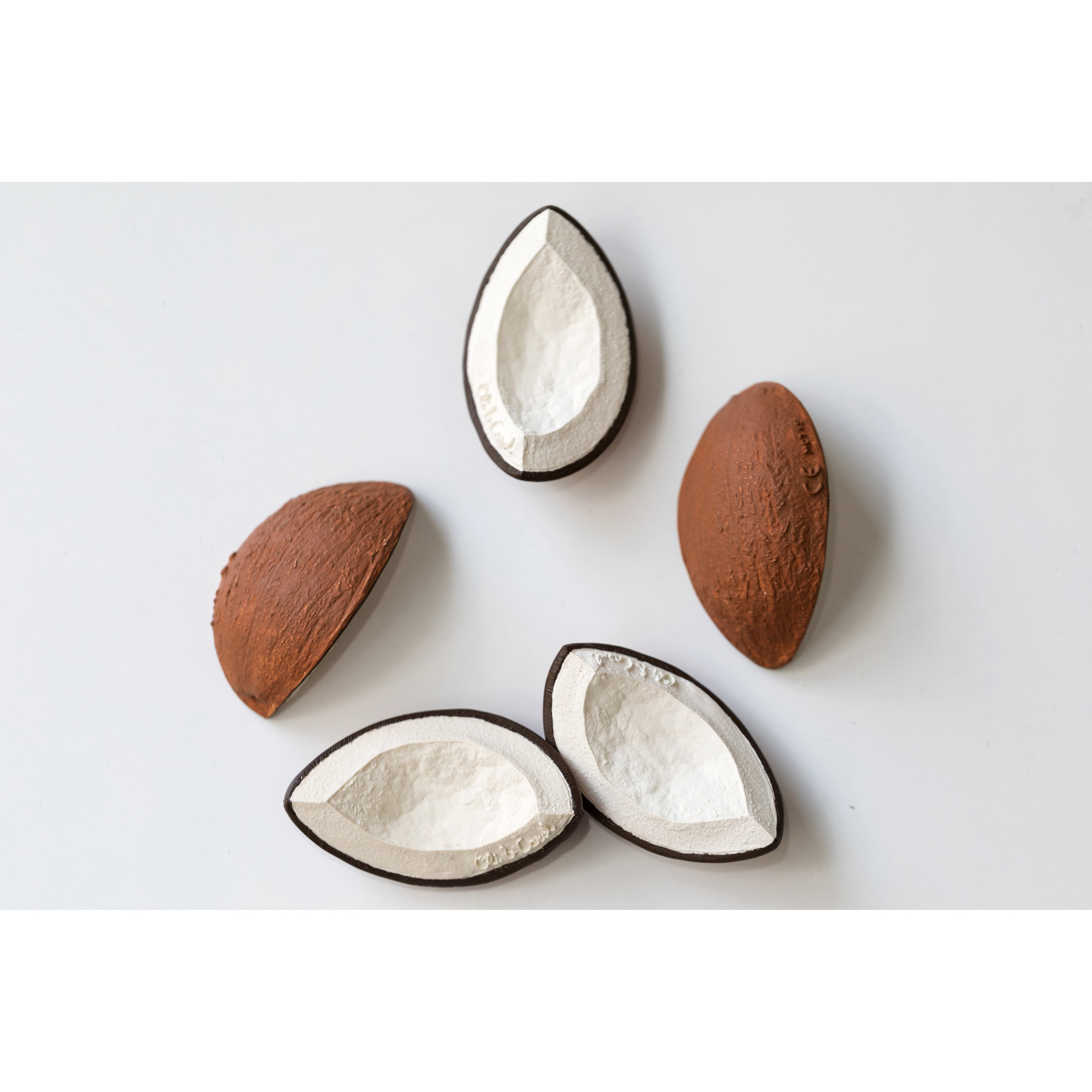 oli-&-carol-coco-the-coconut- (5)