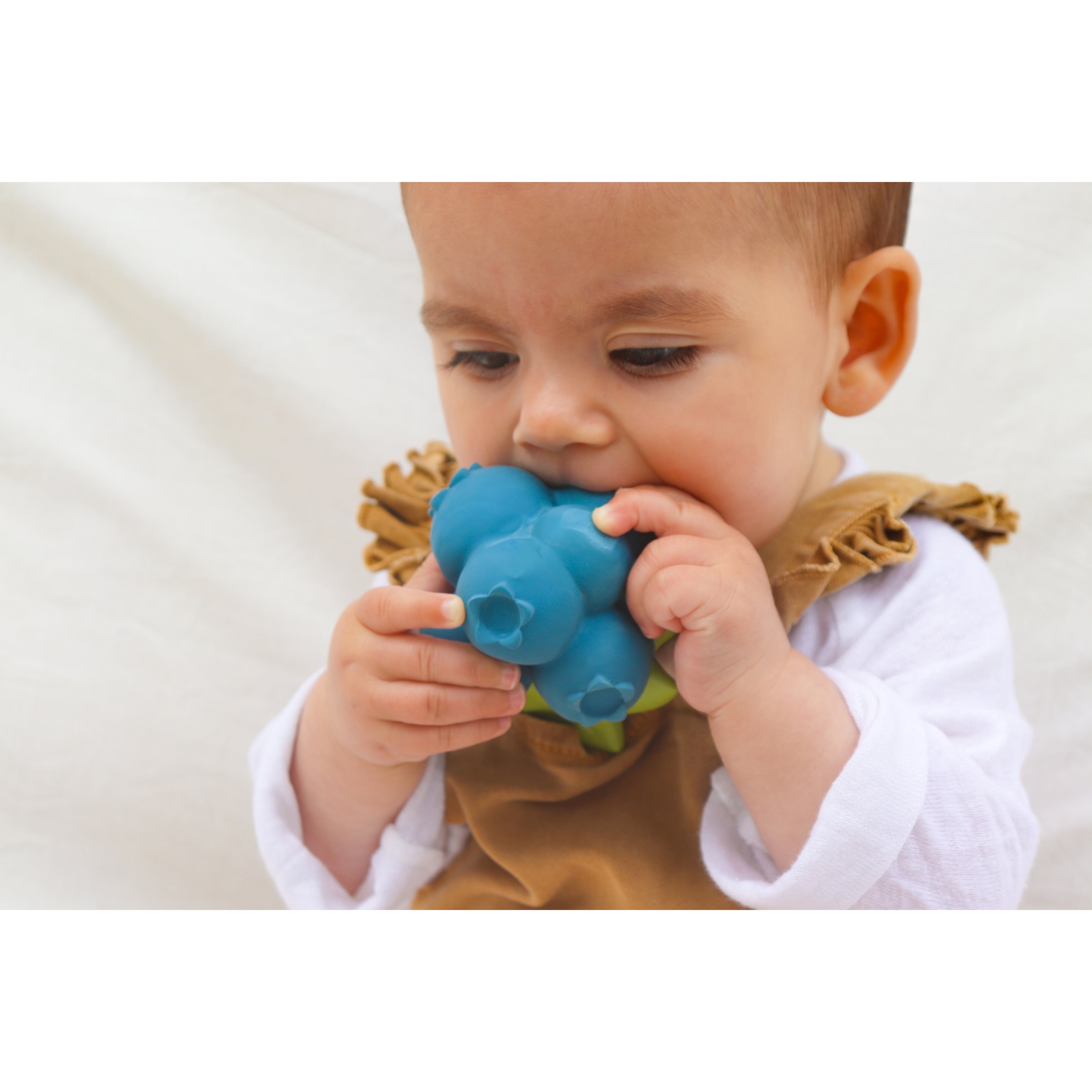 oli-&-carol-jerry-the-blueberry-teether-olic-l-blueberry- (15)