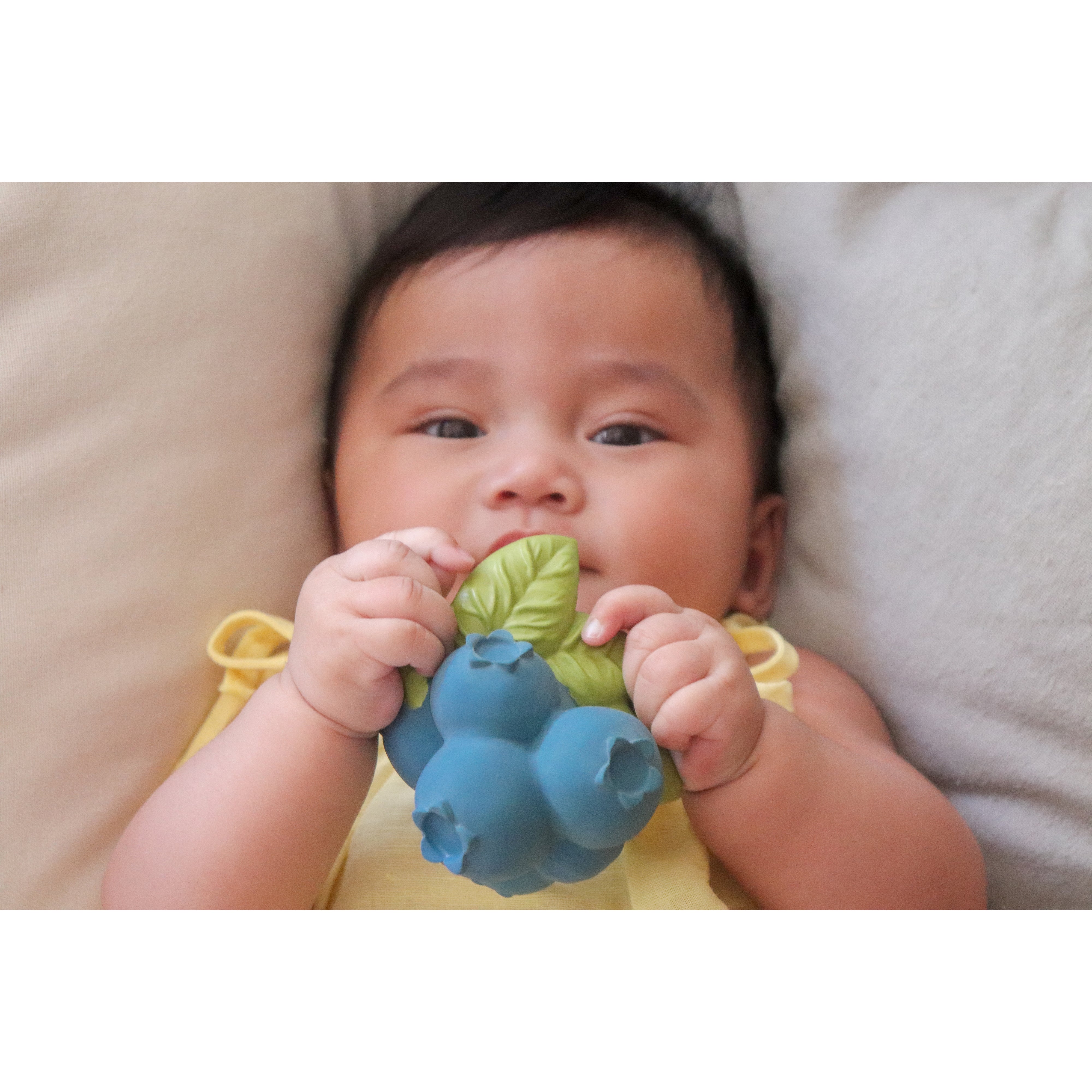 oli-&-carol-jerry-the-blueberry-teether-olic-l-blueberry- (9)