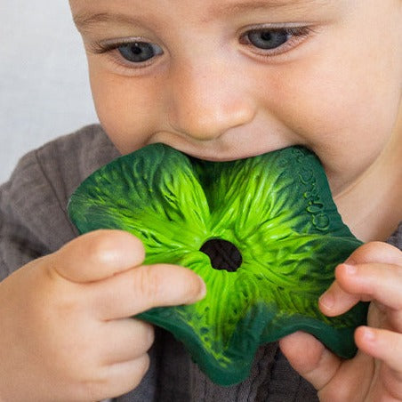 oli-&-carol-kendall-the-kale-mini-doudou-teether-olic-l-mindou-kale- (6)