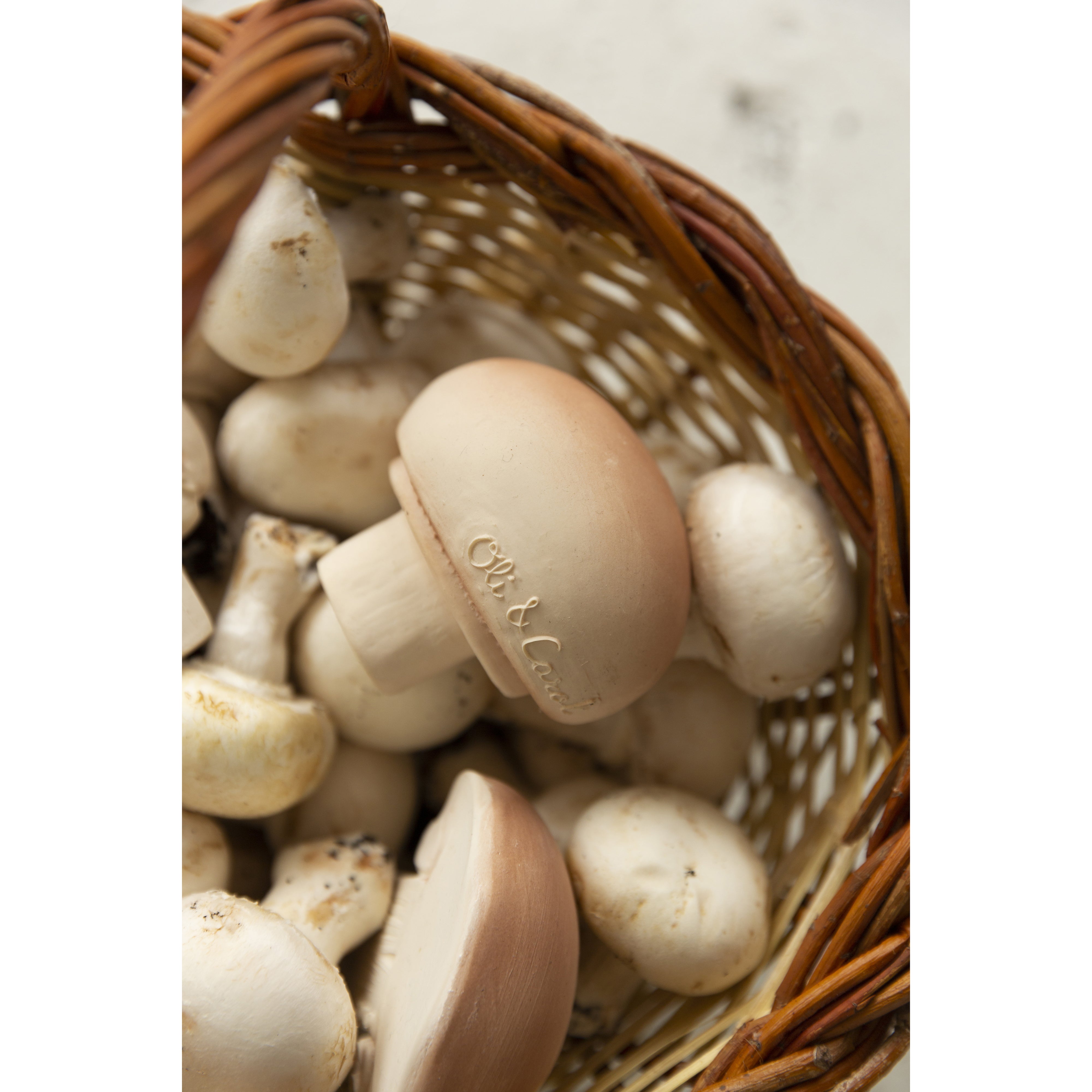 oli-&-carol-manolo-the-mushroom- (10)