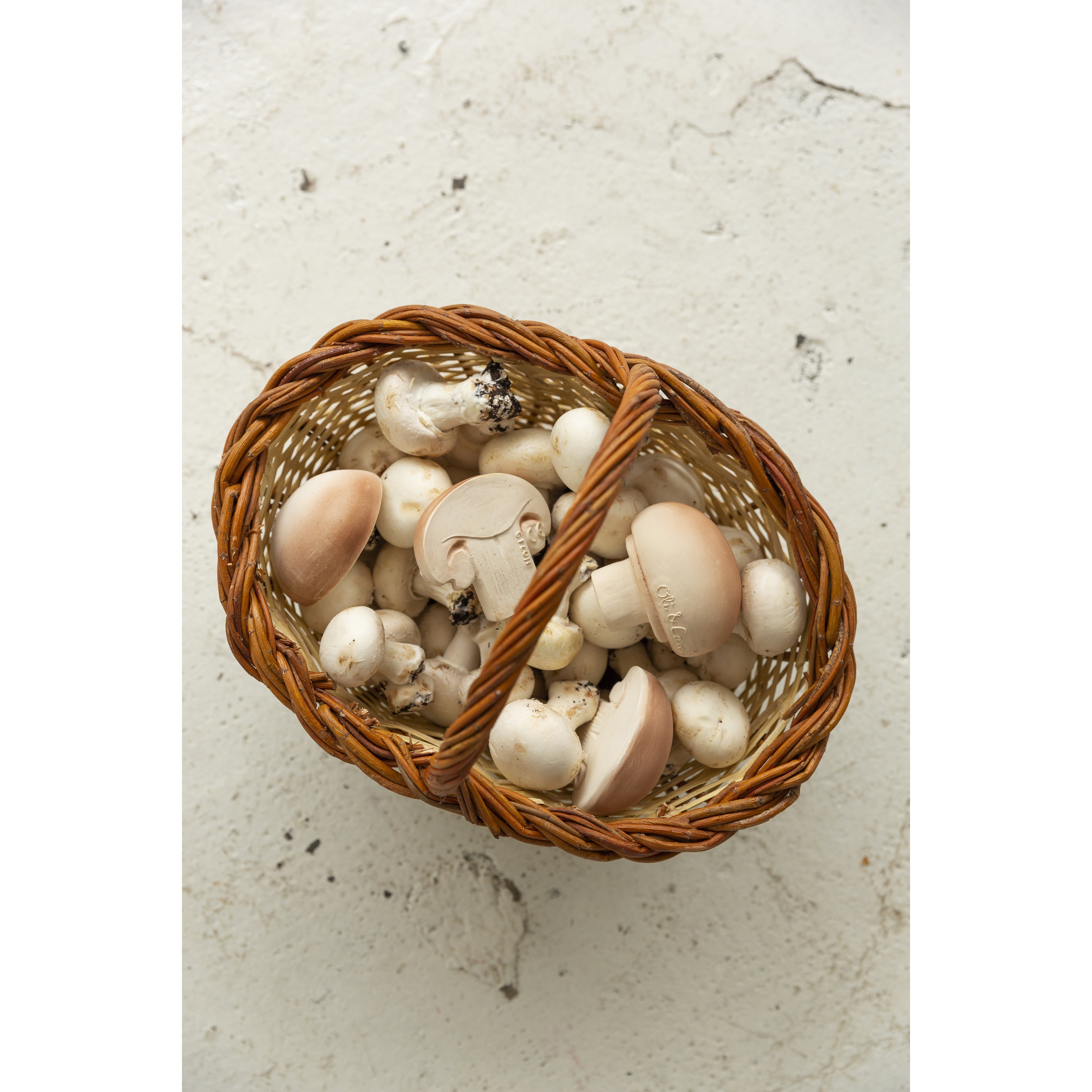 oli-&-carol-manolo-the-mushroom- (11)