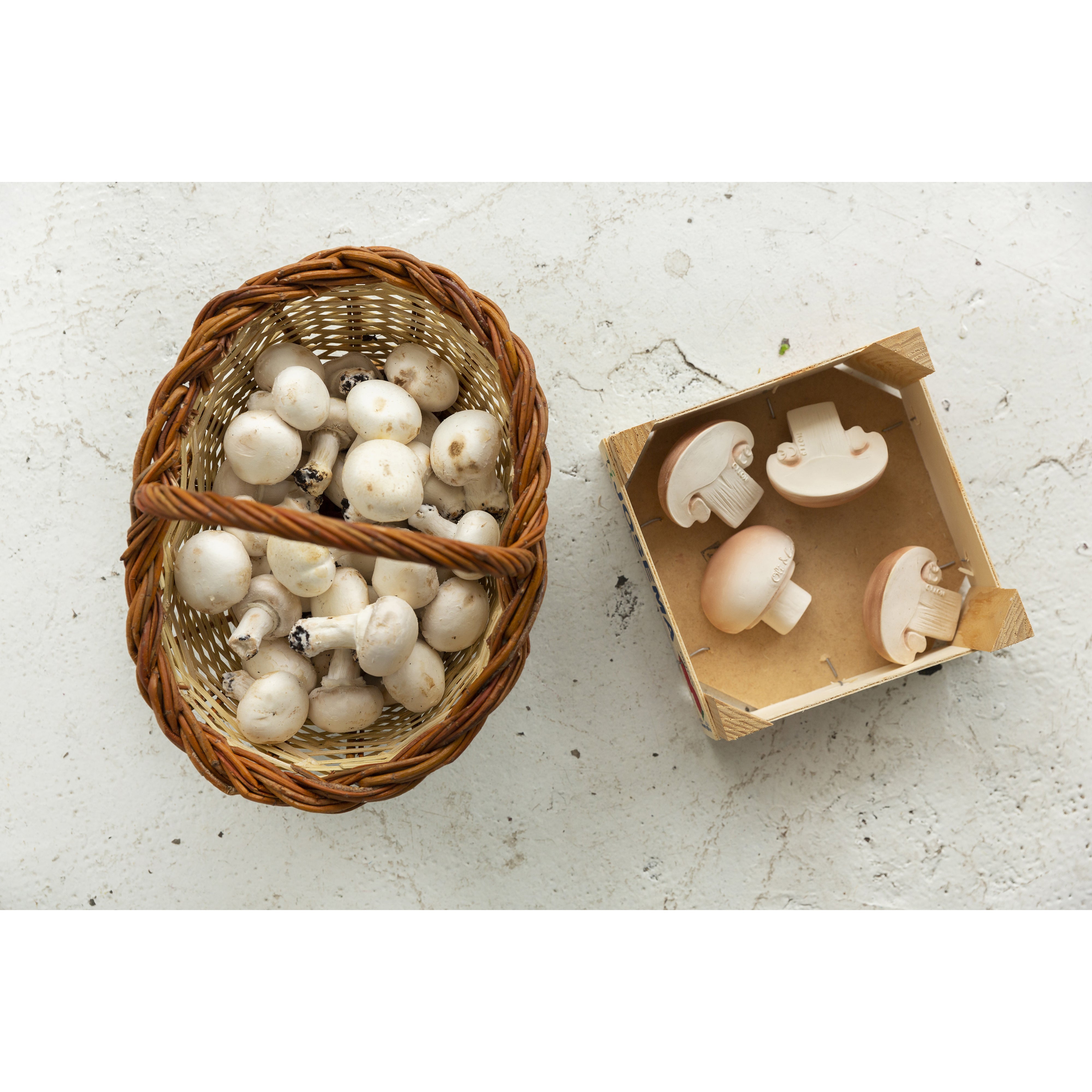 oli-&-carol-manolo-the-mushroom- (12)