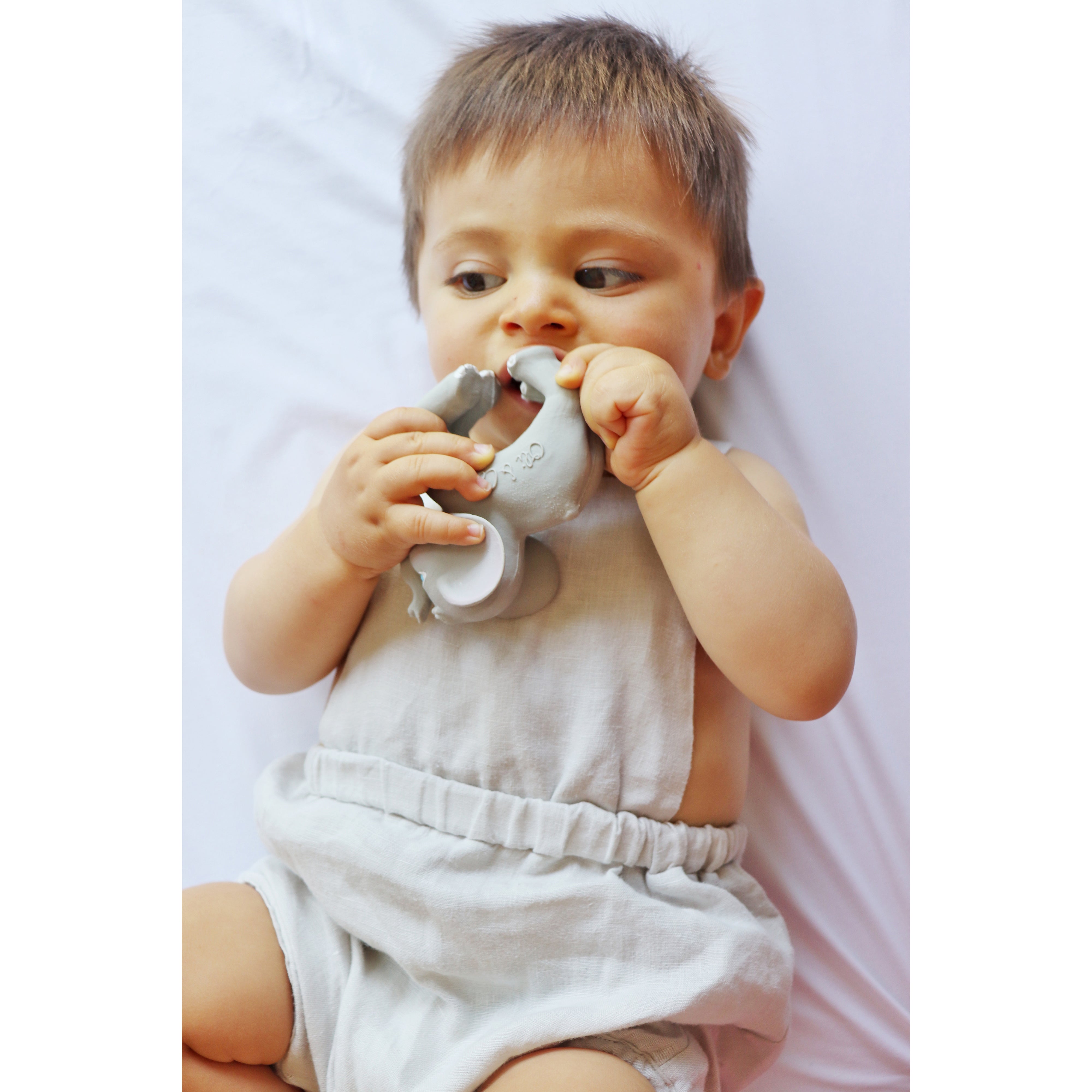 oli-&-carol-nelly-the-elephant- (9)