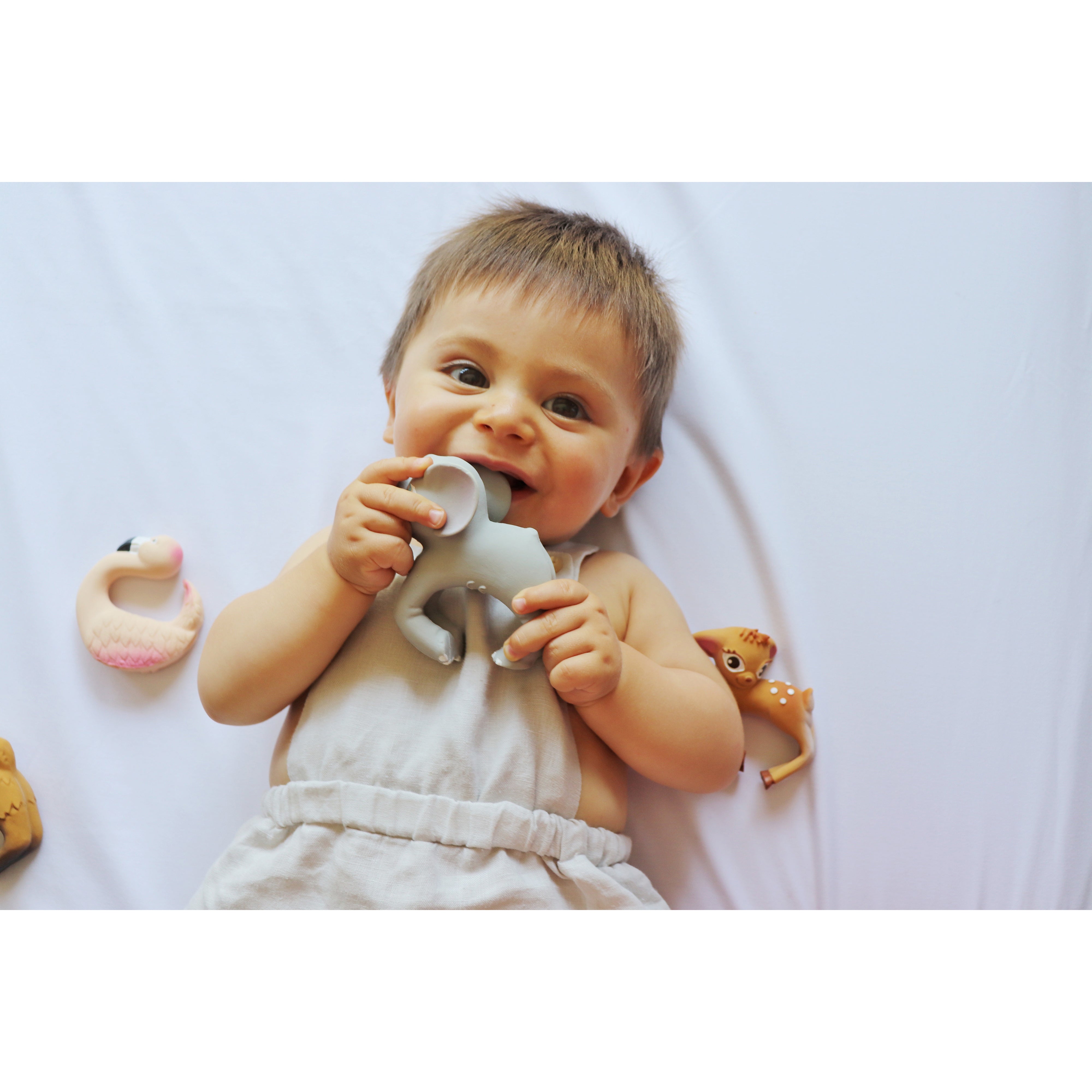 oli-&-carol-nelly-the-elephant- (12)