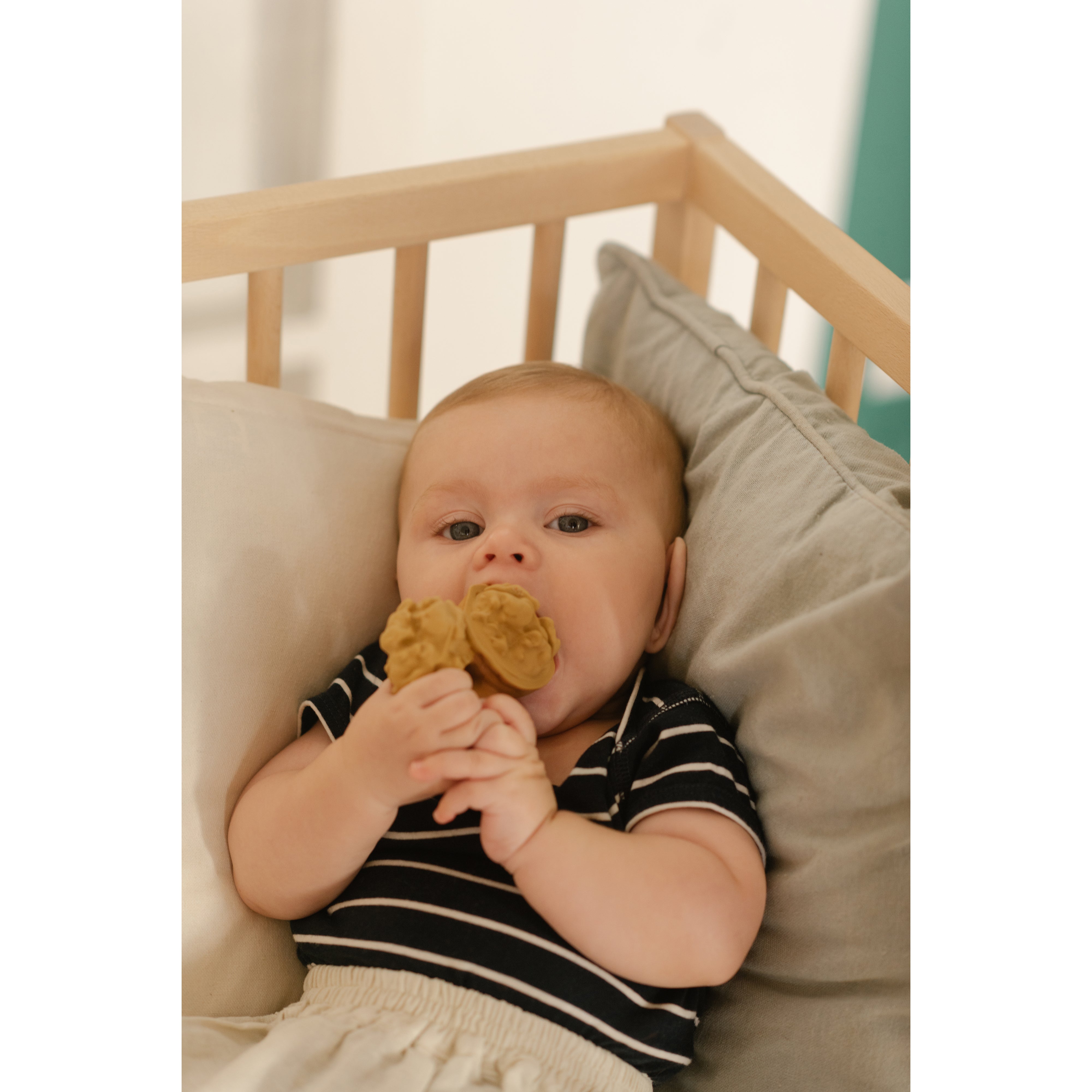 oli-&-carol-nutty-the-nut-teether-olic-l-walnut- (13)
