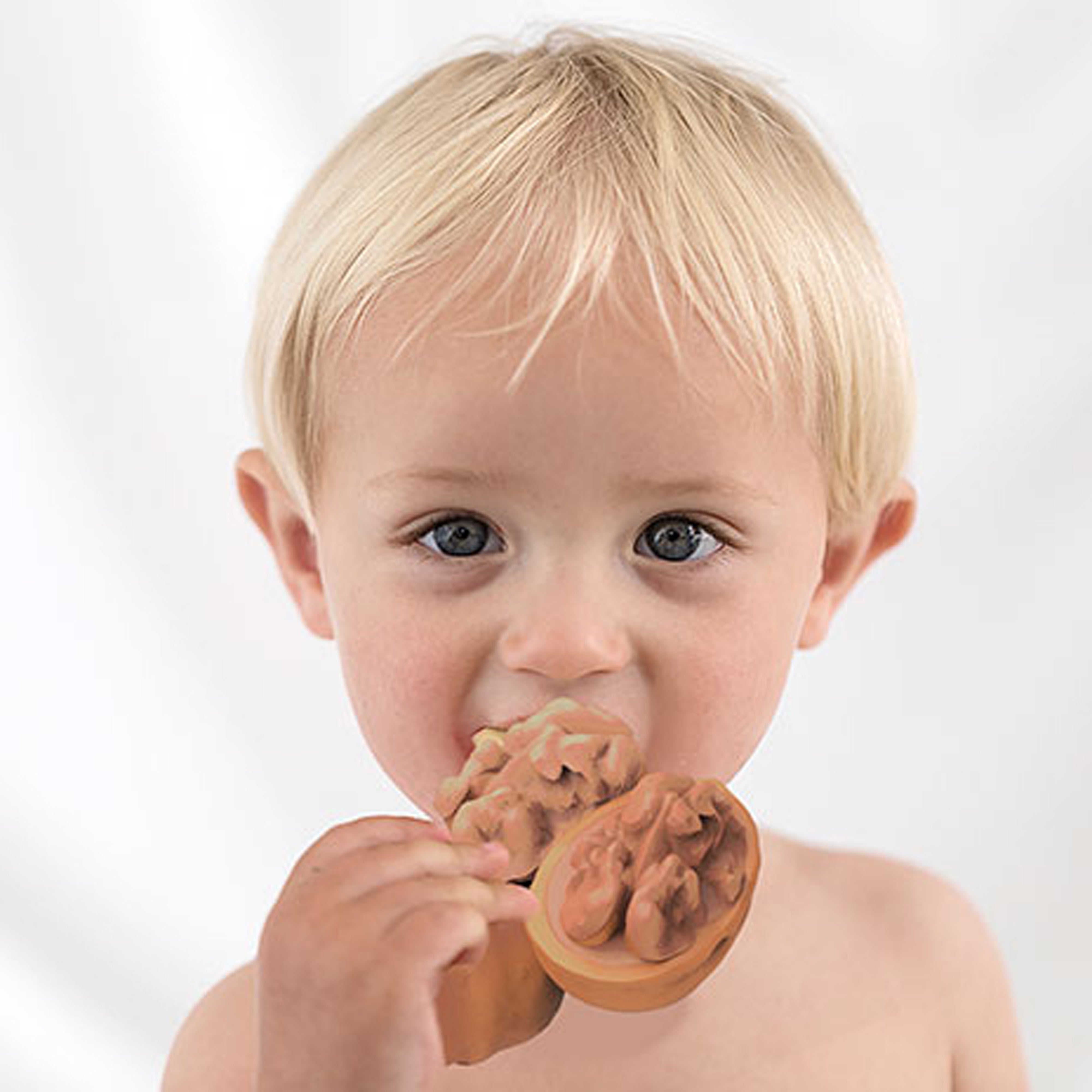 oli-&-carol-nutty-the-nut-teether-olic-l-walnut- (9)