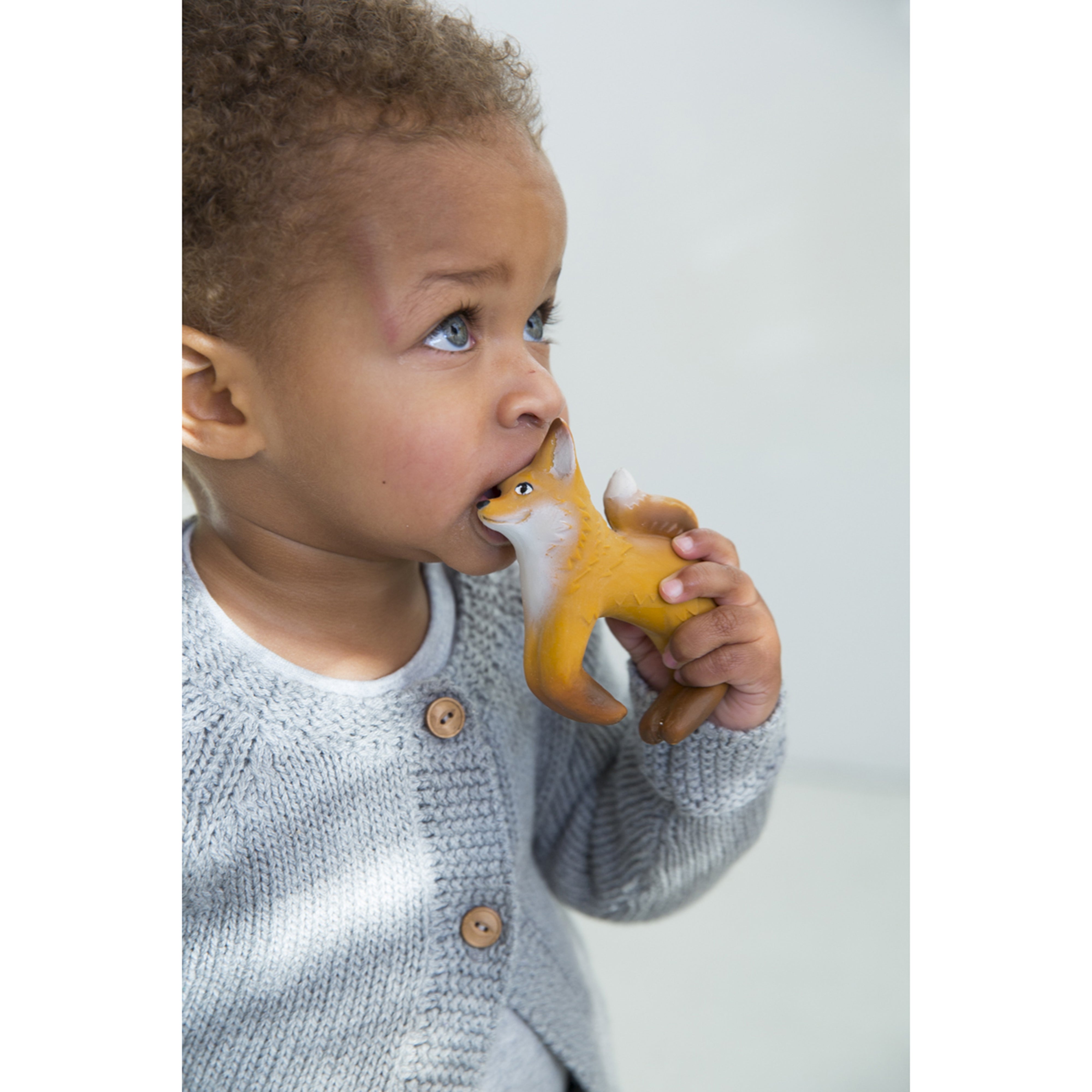 oli-&-carol-rob-the-fox-teether- (33)