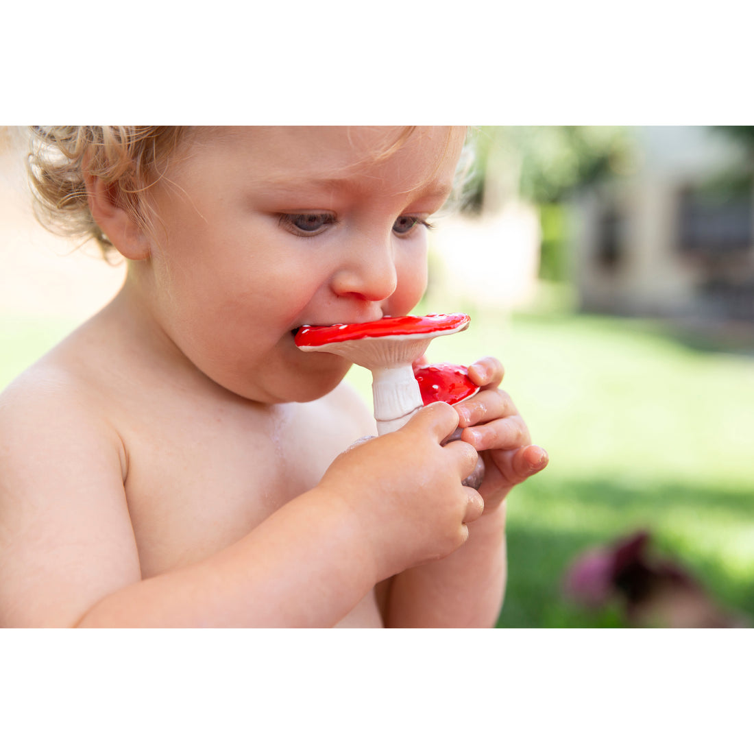 oli-&-carol-spot-the-mushroom-teether-olic-l-spot-mushroom- (18)