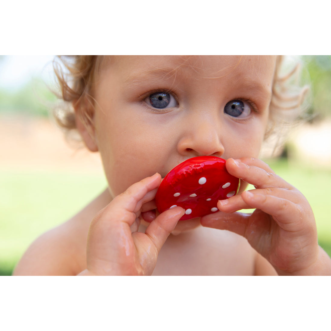oli-&-carol-spotty-the-mushroom-teether-olic-l-chewy-mushroom- (3)