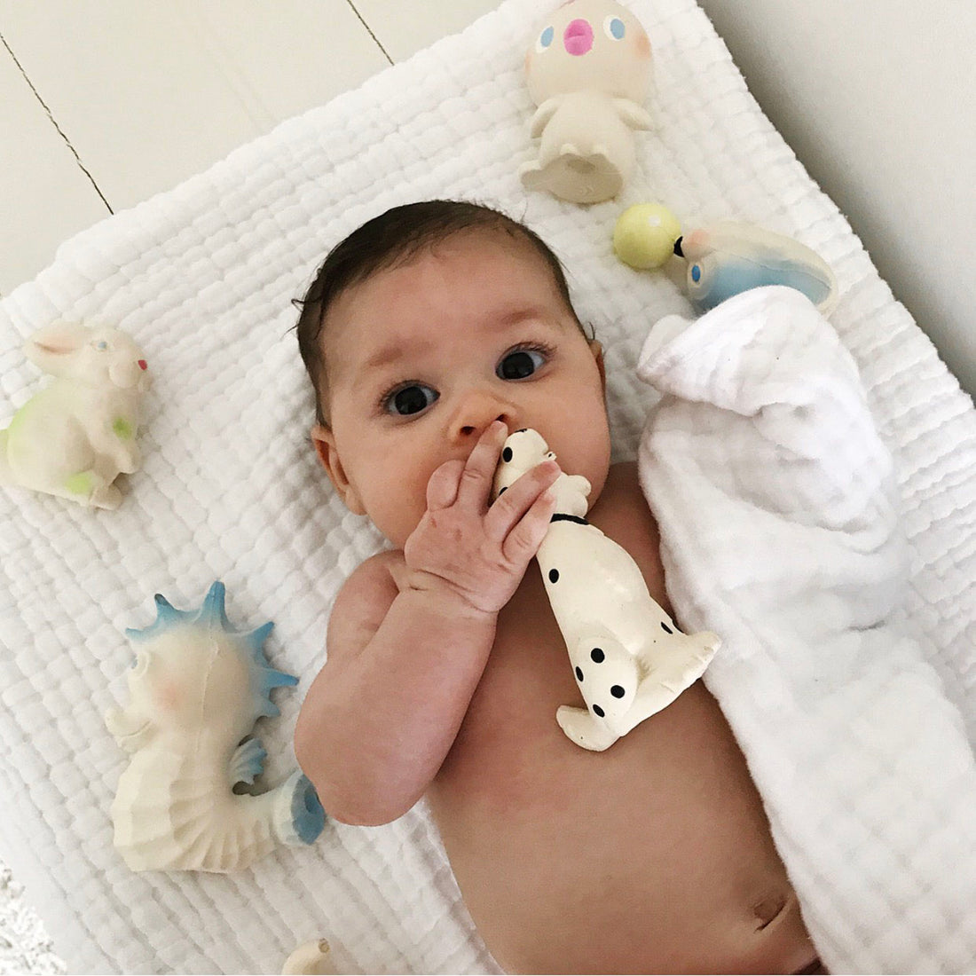 oli-&-carol-vintage-bob-the-bunny-teether- (9)