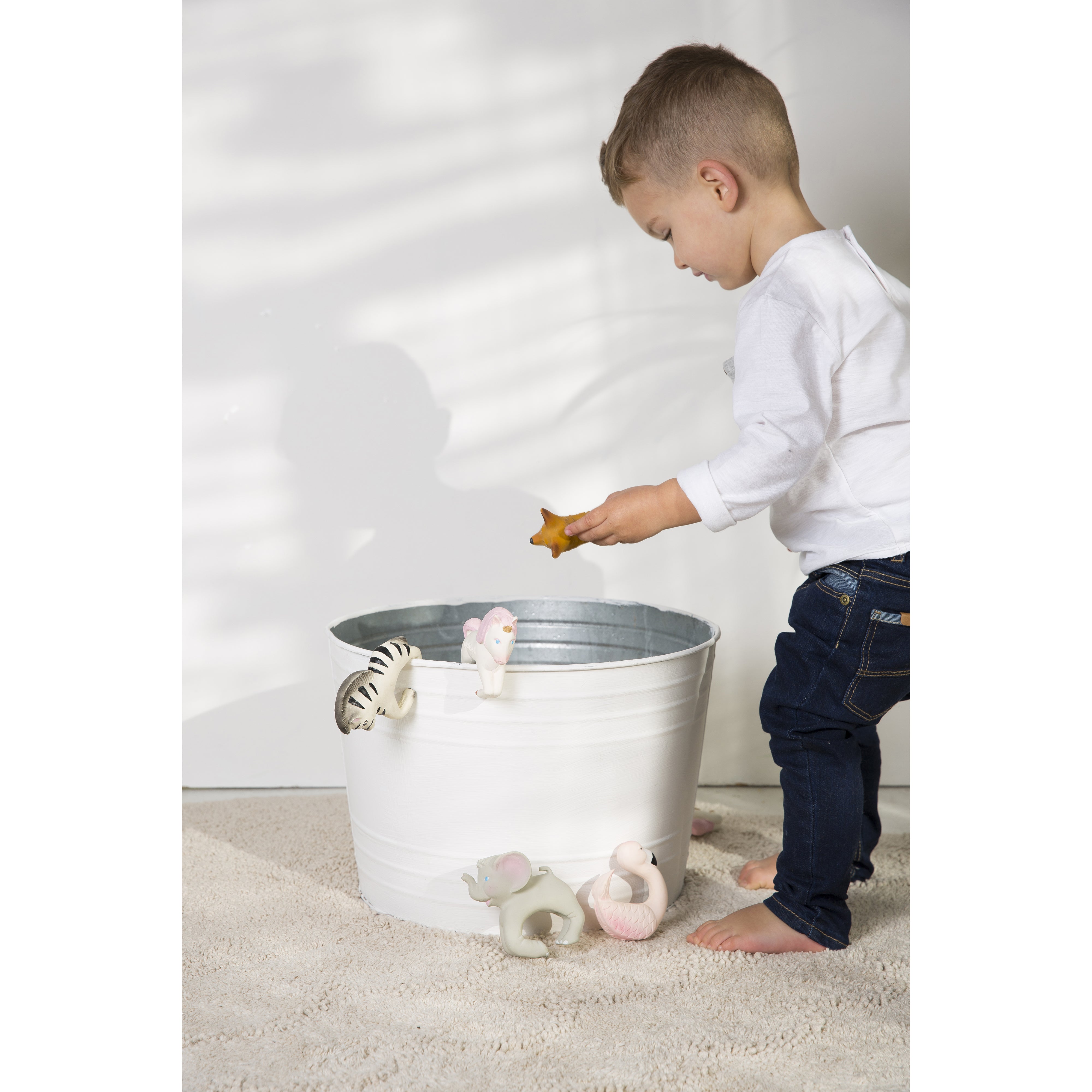 oli-&-carol-zoe-the-zebra- (9)