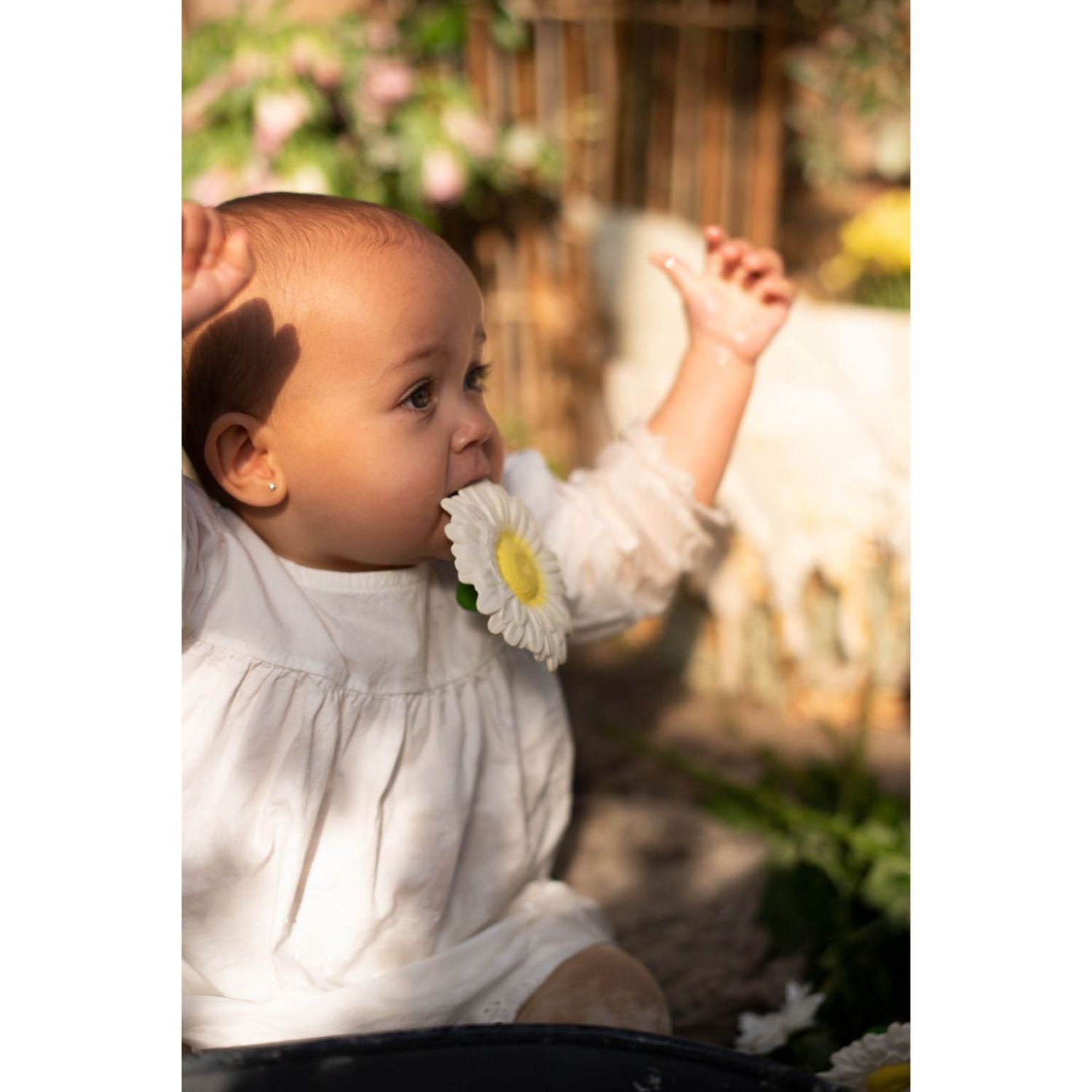 Oli & Carol Margarita the Daisy Teether