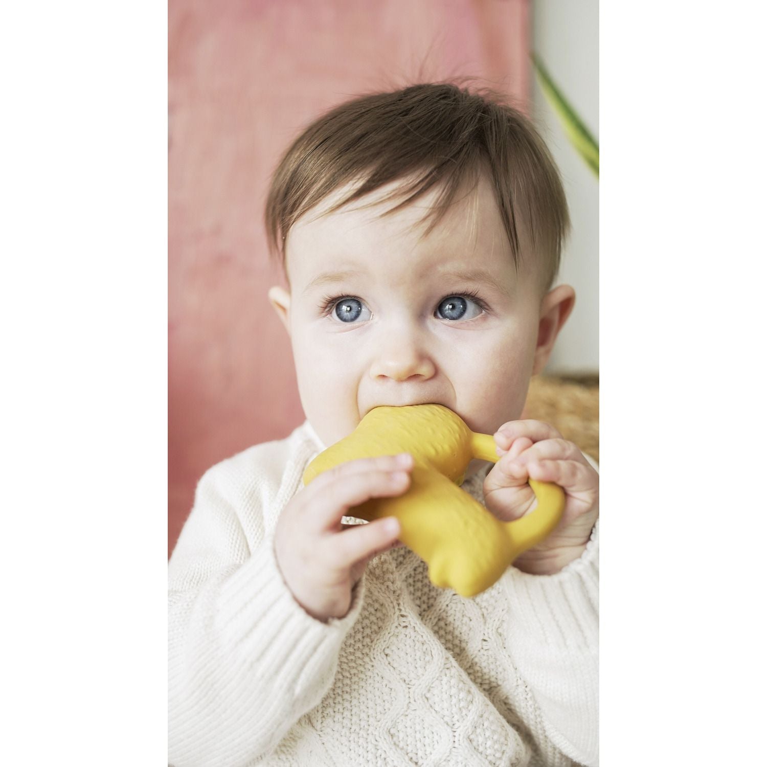 oli-carol-richie-lion-teether-baby-nursery-play-toy-olic-l-donna-lion-00006