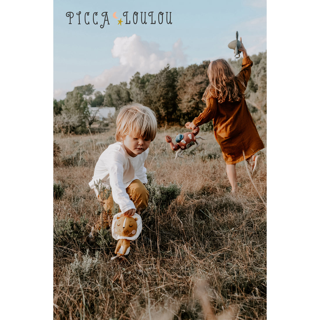 picca-loulou-lion-in-gift-box-18cm-picc-25215012- (10)