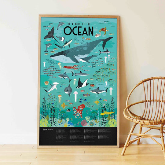 poppik-discovery-oceans-educational-poster-with-59-stickers-popk-dis002- (2)