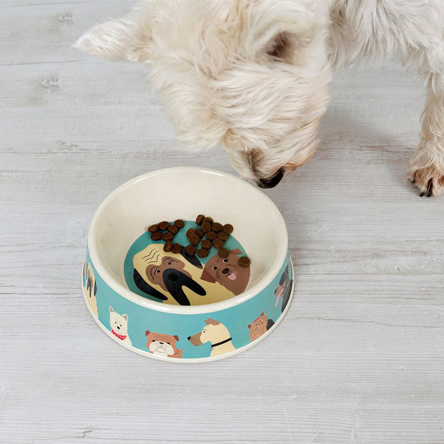 rex-best-in-show-bamboo-dog-food-bowl- (3)