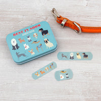 rex-best-in-show-plasters-in-a-tin-pack-of-30- (3)