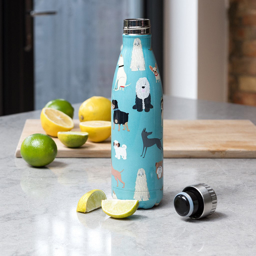 rex-best-in-show-stainless-steel-bottle- (5)