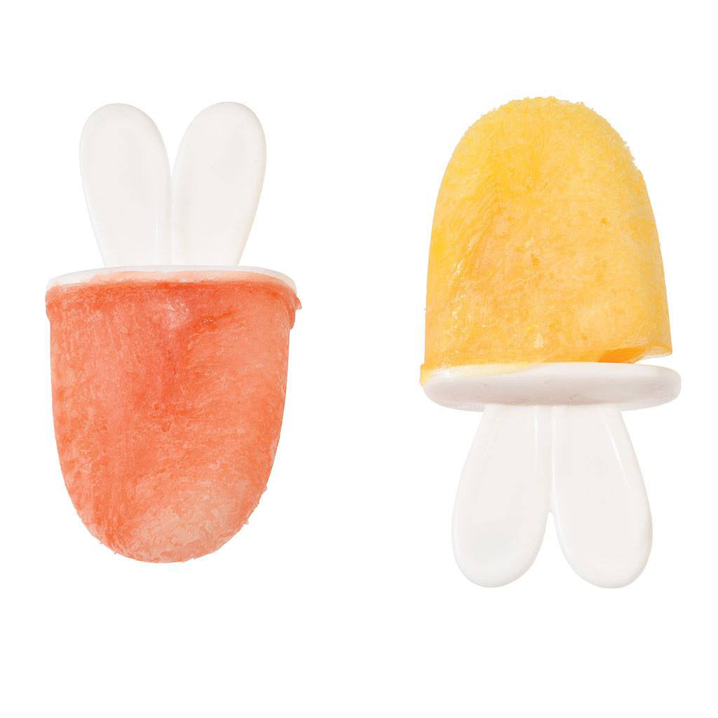 rex-bonnie-the-bunny-ice-looly-mould- (4)