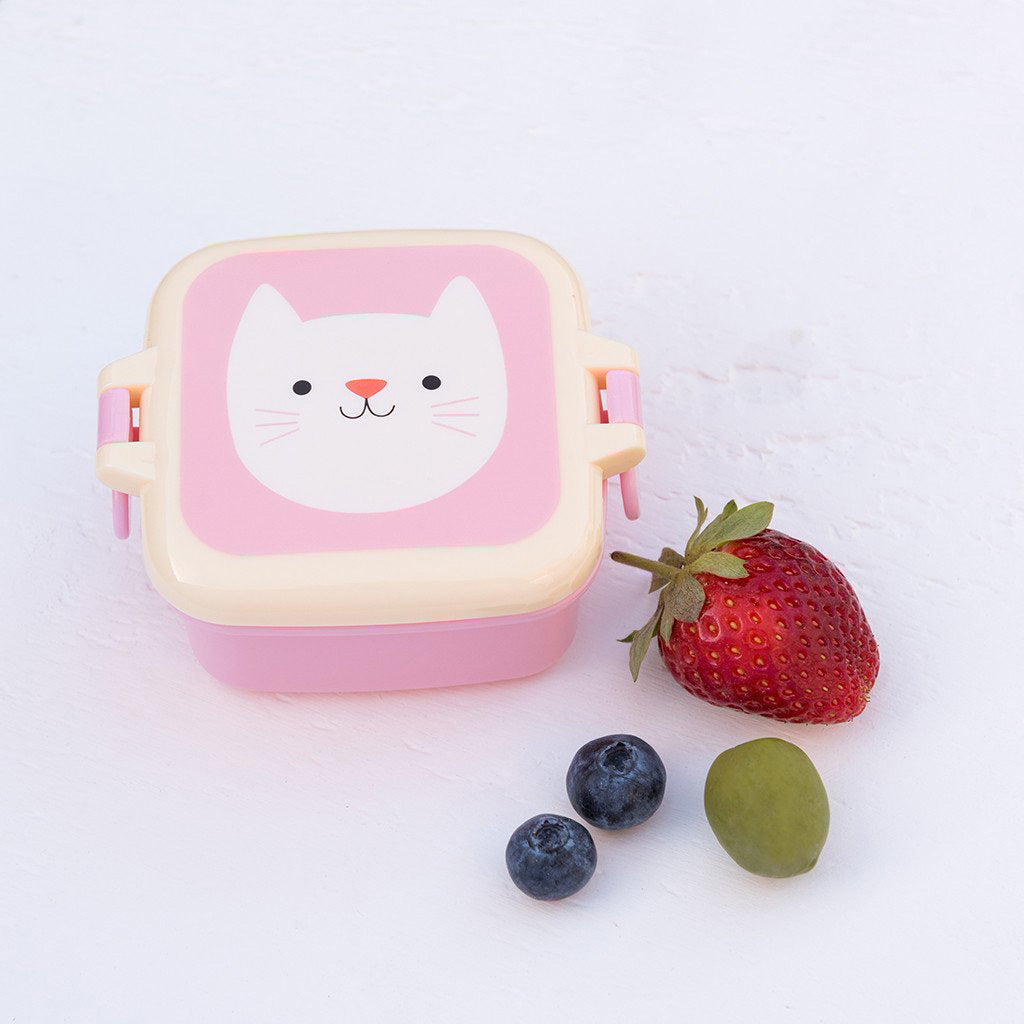 rex-cookie-the-cat-snack-pot- (3)