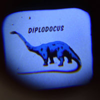 rex-prehistoric-land-projector-torch- (4)