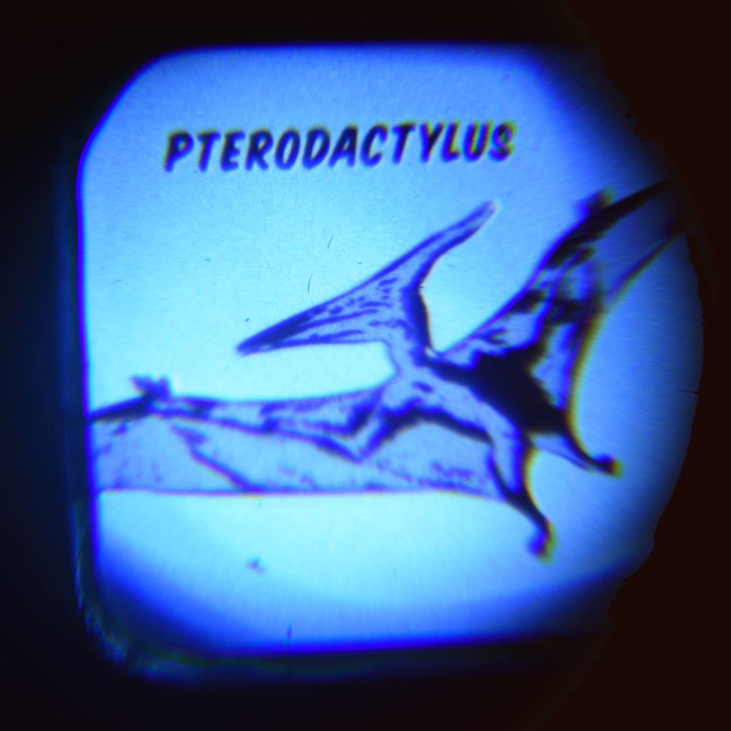 rex-prehistoric-land-projector-torch- (5)