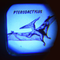 rex-prehistoric-land-projector-torch- (5)