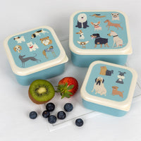 rex-set-of-3-best-in-show-snack-boxes- (4)