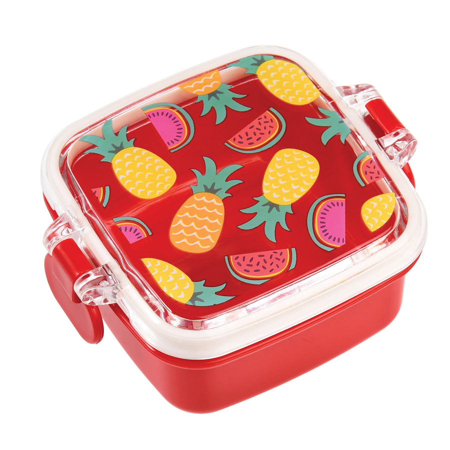 rex-tropical-fruit-mini-snack-pot-01