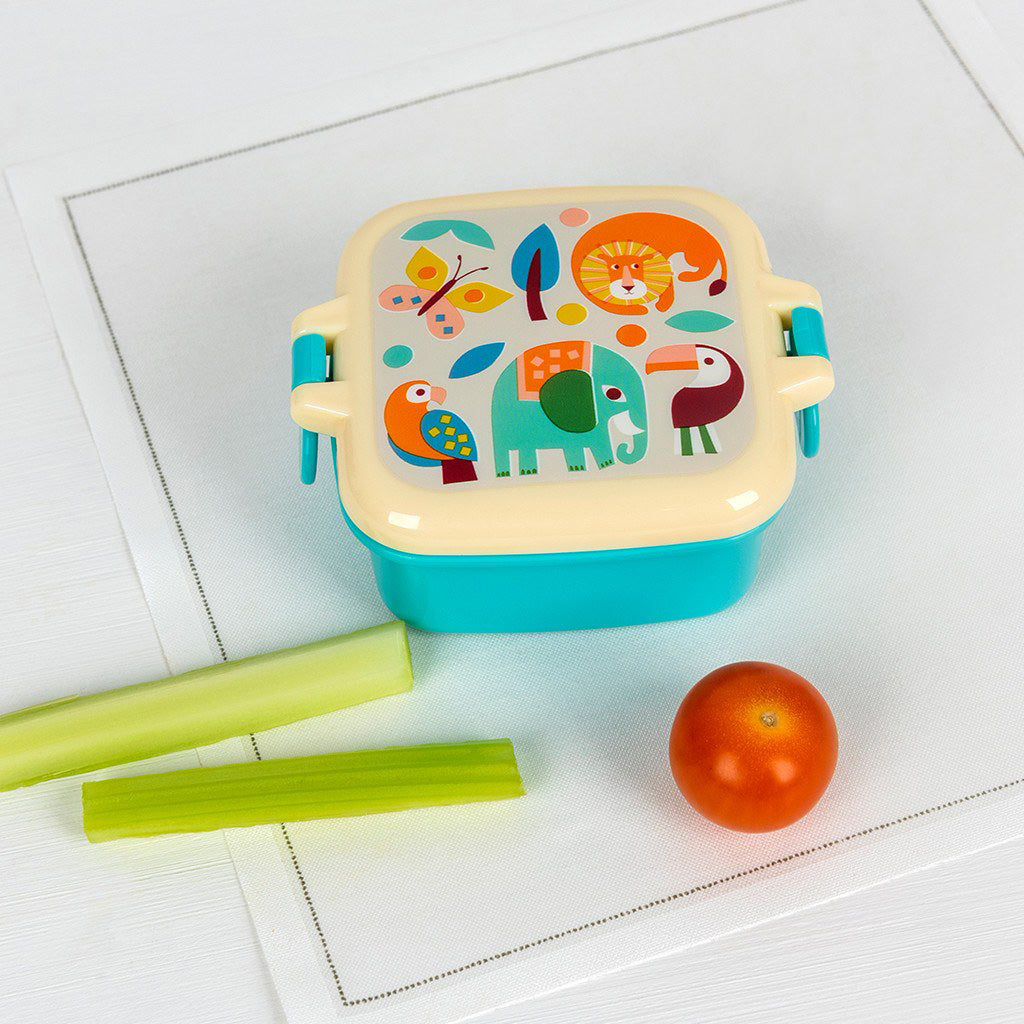 rex-wild-wonders-snack-pot (2)