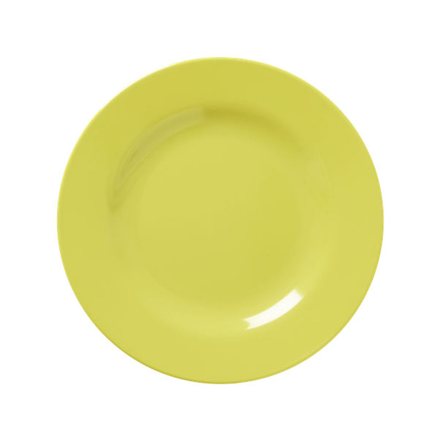 rice-dk-6-melamine-round-side-plates-assorted-shine- (4)