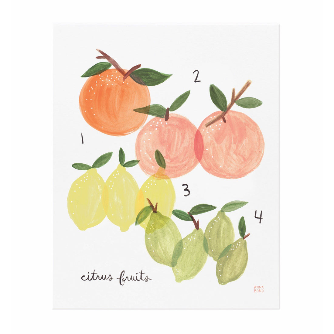 rifle-paper-co-citrus-illustrated-print-8x10- (2)