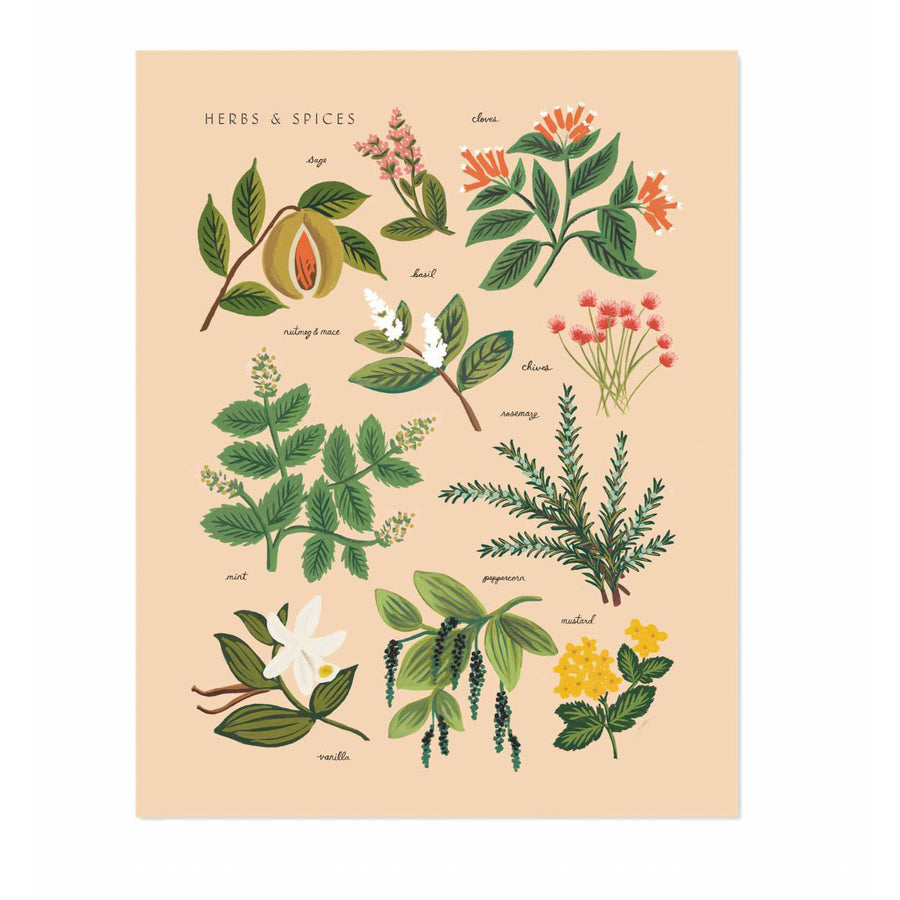 rifle-paper-co-herbs-&-spices-peach-print-01